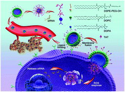 Graphical abstract: Reactive oxygen species (ROS)-responsive nanomedicine for RNAi-based cancer therapy