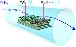 Graphical abstract: 2D molybdenum and vanadium nitrides synthesized by ammoniation of 2D transition metal carbides (MXenes)