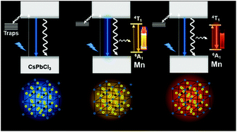 Graphical abstract: Luminescence tuning and exciton dynamics of Mn-doped CsPbCl3 nanocrystals