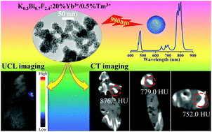 Graphical abstract: Near-infrared optical and X-ray computed tomography dual-modal imaging probe based on novel lanthanide-doped K0.3Bi0.7F2.4 upconversion nanoparticles