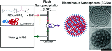 Graphical abstract: Flash nanoprecipitation permits versatile assembly and loading of polymeric bicontinuous cubic nanospheres