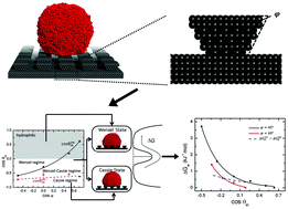Graphical abstract: Controlling states of water droplets on nanostructured surfaces by design