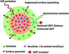 Graphical abstract: A protected excitation-energy reservoir for efficient upconversion luminescence