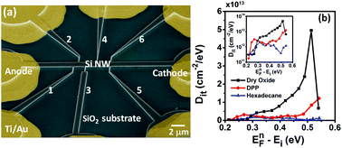 Graphical abstract: Cryogenically probing the surface trap states of single nanowires passivated with self-assembled molecular monolayers