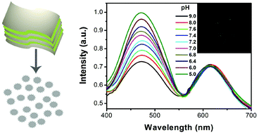 Graphical abstract: Ratiometric photoluminescence sensing based on Ti3C2 MXene quantum dots as an intracellular pH sensor