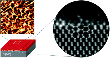 Graphical abstract: Homo-endotaxial one-dimensional Si nanostructures