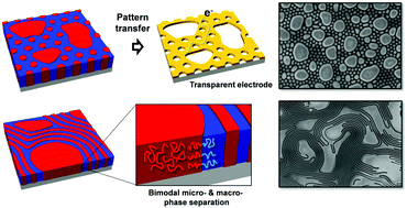 Graphical abstract: Bimodal phase separated block copolymer/homopolymer blends self-assembly for hierarchical porous metal nanomesh electrodes