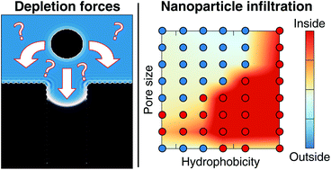 Graphical abstract: Solute particle near a nanopore: influence of size and surface properties on the solvent-mediated forces