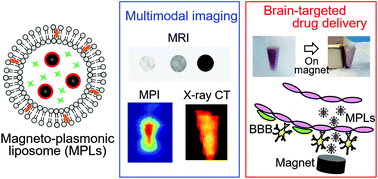 Graphical abstract: Hybrid magneto-plasmonic liposomes for multimodal image-guided and brain-targeted HIV treatment