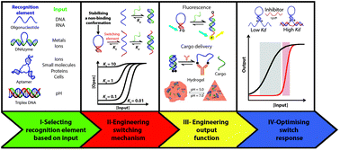 Graphical abstract: Programmable DNA switches and their applications