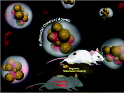 Graphical abstract: A SERRS/MRI multimodal contrast agent based on naked Au nanoparticles functionalized with a Gd(iii) loaded PEG polymer for tumor imaging and localized hyperthermia