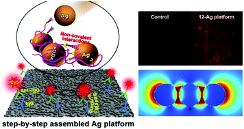 Graphical abstract: Fluorescence-enhanced bio-detection platforms obtained through controlled “step-by-step” clustering of silver nanoparticles