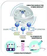 Graphical abstract: Vibrating droplet generation to assemble zwitterion-coated gold-graphene oxide stealth nanovesicles for effective pancreatic cancer chemo-phototherapy