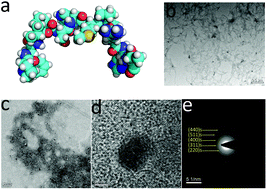 Graphical abstract: Stem cell tracking using effective self-assembled peptide-modified superparamagnetic nanoparticles