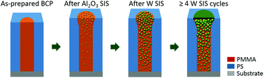 Graphical abstract: Mechanistic understanding of tungsten oxide in-plane nanostructure growth via sequential infiltration synthesis