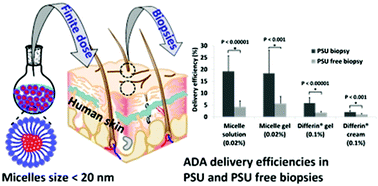 Graphical abstract: Selective delivery of adapalene to the human hair follicle under finite dose conditions using polymeric micelle nanocarriers