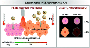 Graphical abstract: Hybrid FePt/SiO2/Au nanoparticles as a theranostic tool: in vitro photo-thermal treatment and MRI imaging