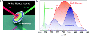 Graphical abstract: Purcell effect in active diamond nanoantennas