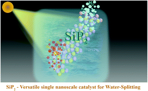 Graphical abstract: Versatile two-dimensional silicon diphosphide (SiP2) for photocatalytic water splitting