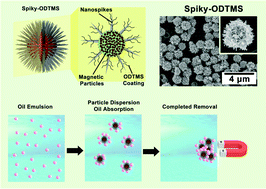 Graphical abstract: Anomalous dispersion of magnetic spiky particles for enhanced oil emulsions/water separation