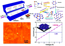 Graphical abstract: p-Type conductivity of hexagonal boron nitride as a dielectrically tunable monolayer: modulation doping with magnesium