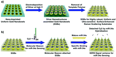 Graphical abstract: Highly robust, uniform and ultra-sensitive surface-enhanced Raman scattering substrates for microRNA detection fabricated by using silver nanostructures grown in gold nanobowls
