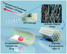 Graphical abstract: Multifunctional hybrid aerogels: hyperbranched polymer-trapped mesoporous silica nanoparticles for sustained and prolonged drug release