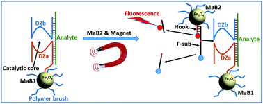 Graphical abstract: Nanoreactors based on DNAzyme-functionalized magnetic nanoparticles activated by magnetic field