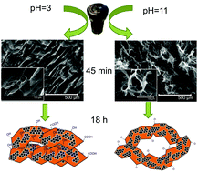 Graphical abstract: Control of the microstructure and surface chemistry of graphene aerogels via pH and time manipulation by a hydrothermal method