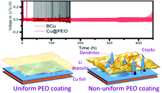 Graphical abstract: Polyethylene oxide film coating enhances lithium cycling efficiency of an anode-free lithium-metal battery
