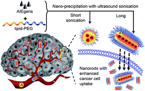 Graphical abstract: Polymeric nanorods with aggregation-induced emission characteristics for enhanced cancer targeting and imaging