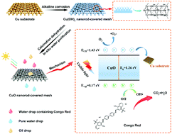 Graphical abstract: Superwetting copper meshes based on self-organized robust CuO nanorods: efficient water purification for in situ oil removal and visible light photodegradation