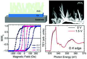Graphical abstract: Giant magneto–electric coupling in 100 nm thick Co capped by ZnO nanorods