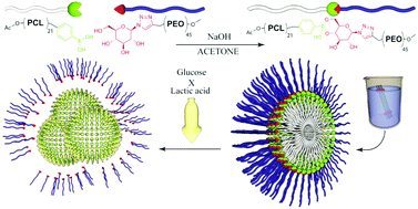 Graphical abstract: Preparation of lactic acid- and glucose-responsive poly(ε-caprolactone)-b-poly(ethylene oxide) block copolymer micelles using phenylboronic ester as a sensitive block linkage