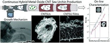 Graphical abstract: Continuous flow chemical vapour deposition of carbon nanotube sea urchins