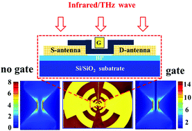 Graphical abstract: Top-gated black phosphorus phototransistor for sensitive broadband detection