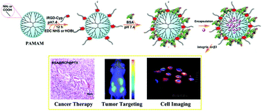 Graphical abstract: A triple modality BSA-coated dendritic nanoplatform for NIR imaging, enhanced tumor penetration and anticancer therapy