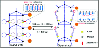 Graphical abstract: Photo-switchable patterning of gold nanoparticles along 3D DNA nanotubes