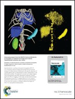 Graphical abstract: Inside back cover