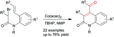 Graphical abstract: Cobalt salt-catalyzed carbocyclization reactions of α-bromo-N-phenylacetamide derivatives