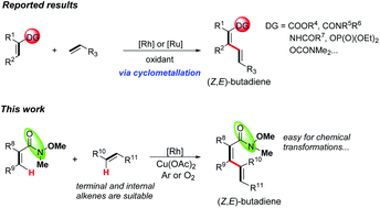 Graphical abstract: Weinreb amide directed cross-coupling reaction between electron-deficient alkenes catalyzed by a rhodium catalyst