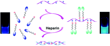 Graphical abstract: Rapid and visual detection of heparin based on the disassembly of polyelectrolyte-induced pyrene excimers