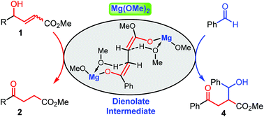 Graphical abstract: Mg(OMe)2 promoted allylic isomerization of γ-hydroxy-α,β-alkenoic esters to synthesize γ-ketone esters