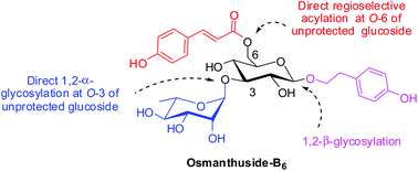 Graphical abstract: Total synthesis of phenylpropanoid glycoside osmanthuside-B6 facilitated by double isomerisation of glucose–rhamnose orthoesters