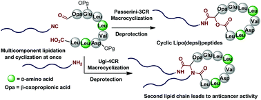 Graphical abstract: A multicomponent macrocyclization strategy to natural product-like cyclic lipopeptides: synthesis and anticancer evaluation of surfactin and mycosubtilin analogues