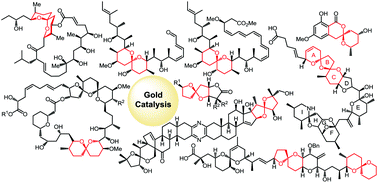Graphical abstract: Gold catalysis: synthesis of spiro, bridged, and fused ketal natural products