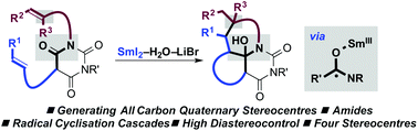 Graphical abstract: Selective construction of quaternary stereocentres in radical cyclisation cascades triggered by electron-transfer reduction of amide-type carbonyls