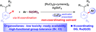 Graphical abstract: Ruthenium(ii)-catalyzed ortho-C–H arylation of diverse N-heterocycles with aryl silanes by exploiting solvent-controlled N-coordination