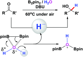 Graphical abstract: Umpolung of protons from H2O: a metal-free chemoselective reduction of carbonyl compounds via B2pin2/H2O systems