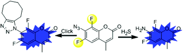 Graphical abstract: o,o-Difluorination of aromatic azide yields a fast-response fluorescent probe for H2S detection and for improved bioorthogonal reactions